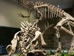 -自贡恐龙博物馆