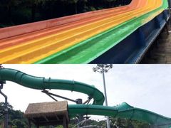 -重庆海昌加勒比海水世界
