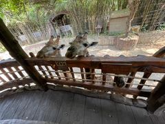 -长鹿旅游休博园