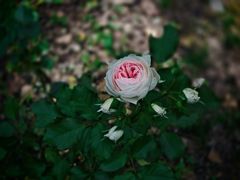 -苏州河梦清园环保主题公园