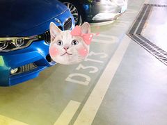 场地-合生汇·停车场