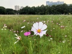 -河海大学(常州校区)