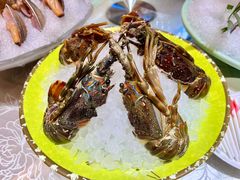 小青龙-舒友海鲜姿造(白鹭洲店)