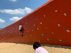 -春花秋色城市公园