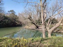 -西溪国家湿地公园