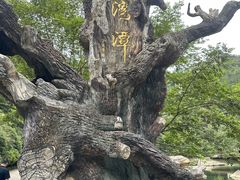 -龙湾潭国家森林公园