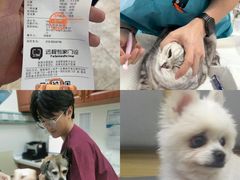 -美联众合动物医院·24h转诊中心