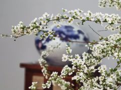 -武汉花鸟市场