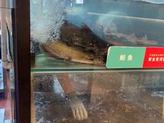 -鱼酷活鱼烤鱼(南京水游城店)