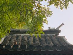 -北京国子监胡同