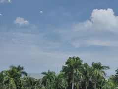 -五月花海鲜城