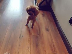 -泸州唯逸酒店(大山坪警察学院店)