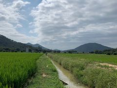 -艾米稻香小镇