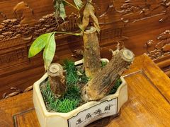 -柴米油盐(土菜院子店)