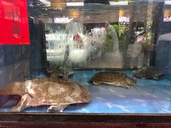 -肥仔顺德菜(龙悦居店)