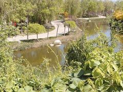 -武清南湖绿博园