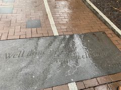 -宾夕法尼亚大学沃顿商学院