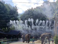 -野象谷景区