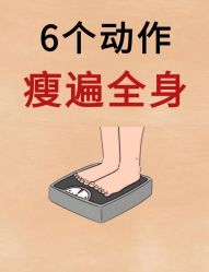 -Fundi张玉珊修身堂·indiba·BTL科技瘦身
