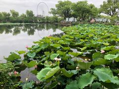 -无锡蠡湖国家湿地公园-蠡园