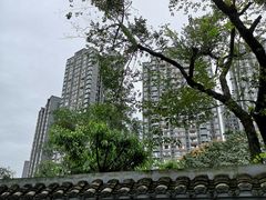 -塔子山公园