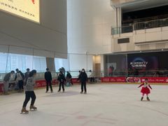 -冰纷万象滑冰场(二七万象城店)