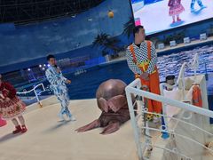-泉城欧乐堡海洋极地世界