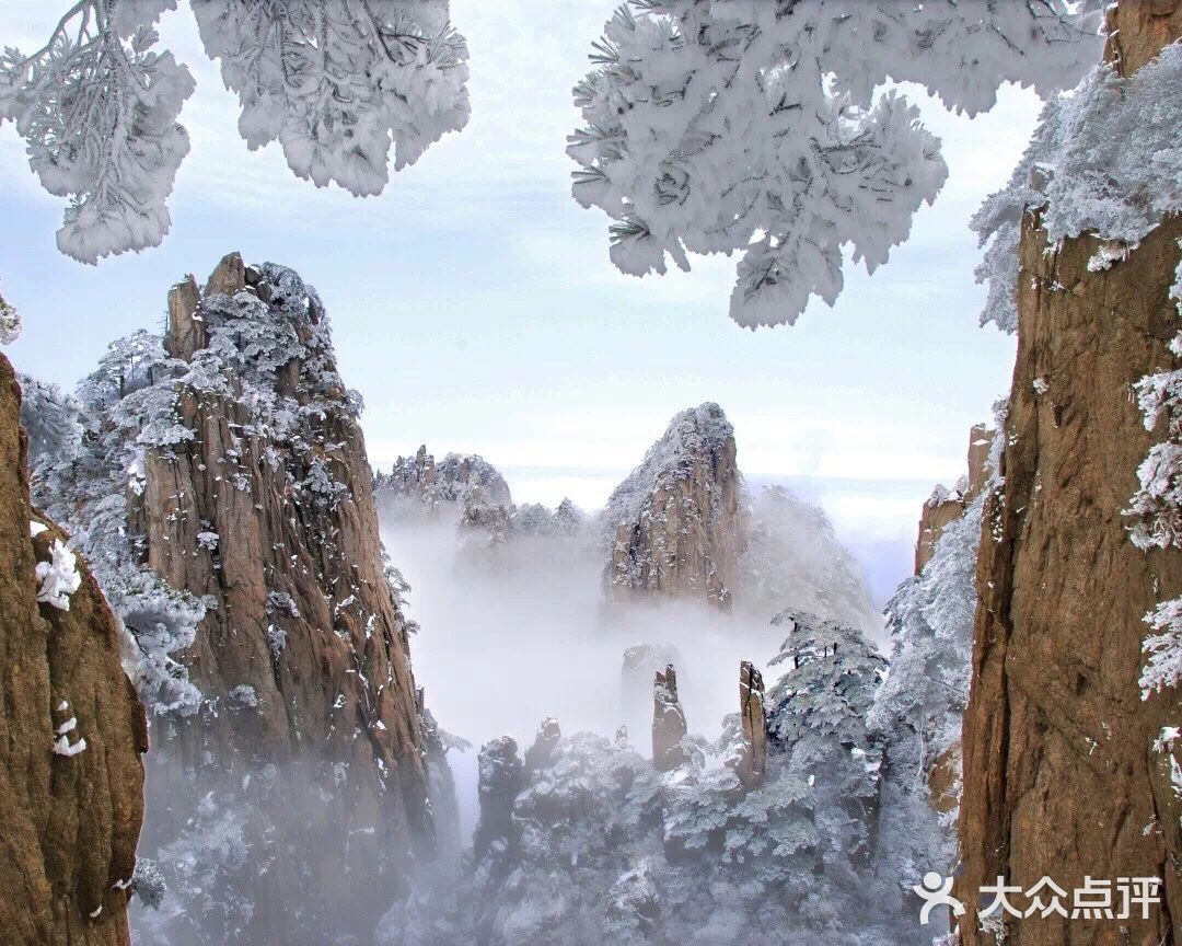 【博洋视线】 难忘黄山雪️ 云和雪都恋着这山峦