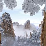 【博洋视线】 难忘黄山雪️ 云和雪都恋着这山峦