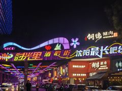 -沈阳奥体冰雪嘉年华