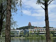 -铁山坪森林公园