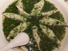 荠菜松茸烩黄鱼-老人和饭店(淮海中路店)