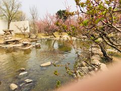 -石家庄市植物园