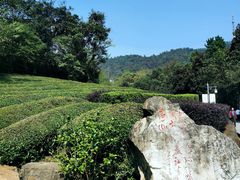 -敬亭山风景名胜区