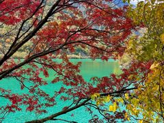 -叠溪松坪沟景区