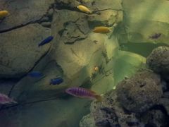 android_upload_pic-李先生牛肉面(长春红旗街店)