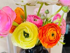 -盒马鲜生(龙德广场店)