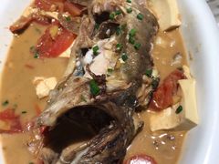 -大雄九老菜馆(南门桥店)