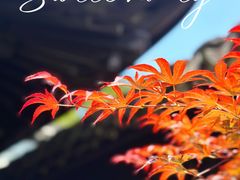 -木渎古镇