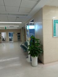 -成都西区医院整形美容