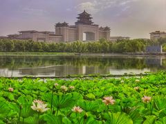 -莲花池公园