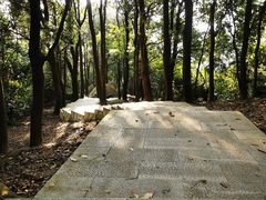-火炉山森林公园