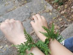 -南山植物园