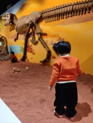 -北京科学中心儿童乐园