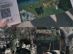 -青藏高原野生动物园