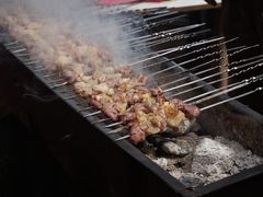 第一个蒙古包吃的羊肉串，秋天羊肉一级棒-可可托海景区