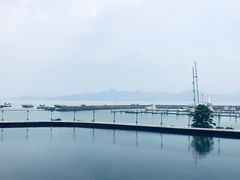-希尔顿南海酒店·观廊大堂吧·海景下午茶