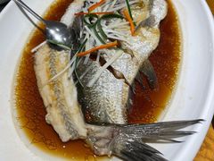 -丹江渔村(望京店)