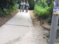 -南丫岛