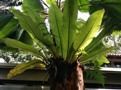 景观位-植物园哈利亚餐厅